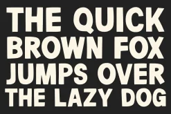 Lemon Martini - Fun Chunky Font