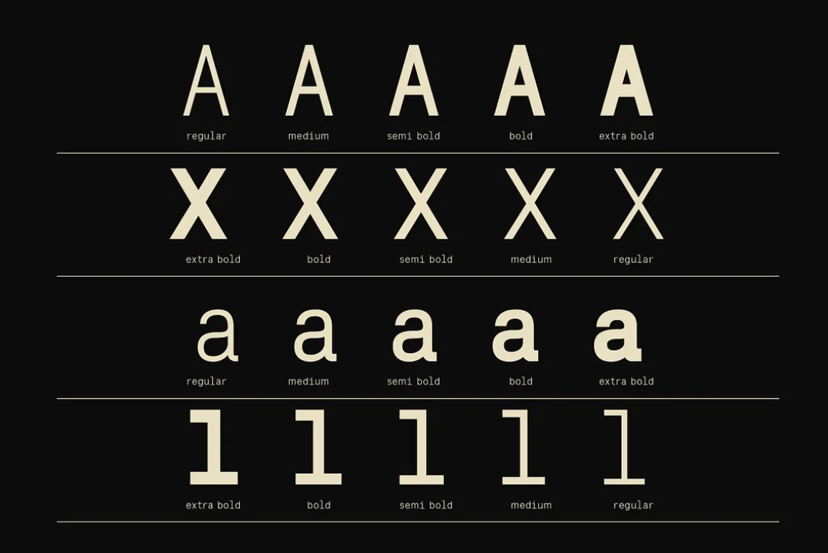 Lenia Mono | Intro 50% OFF