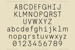 Lenia Mono | Intro 50% OFF