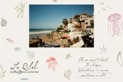 Le Sel: Watercolor Sea Illustrations