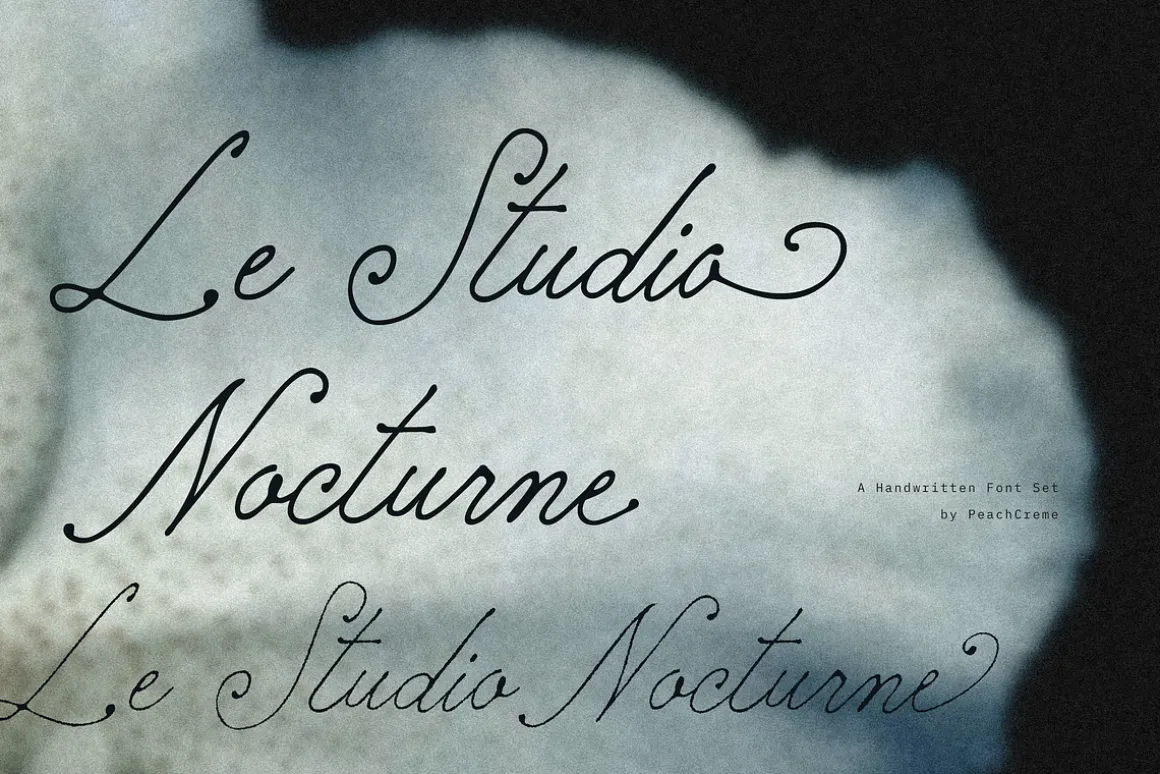 Le Studio Nocturne // Nostalgic Set