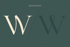 Letterature ligature serif font