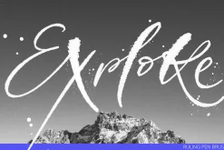 35 Lettering Brushes for Procreate