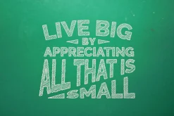 LetterSketch-65 Illustrator Effects