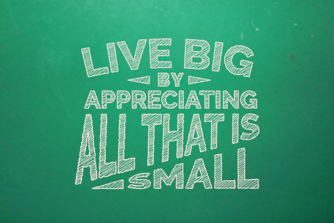 LetterSketch-65 Illustrator Effects