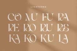 Life Sugar - Unique Serif Font
