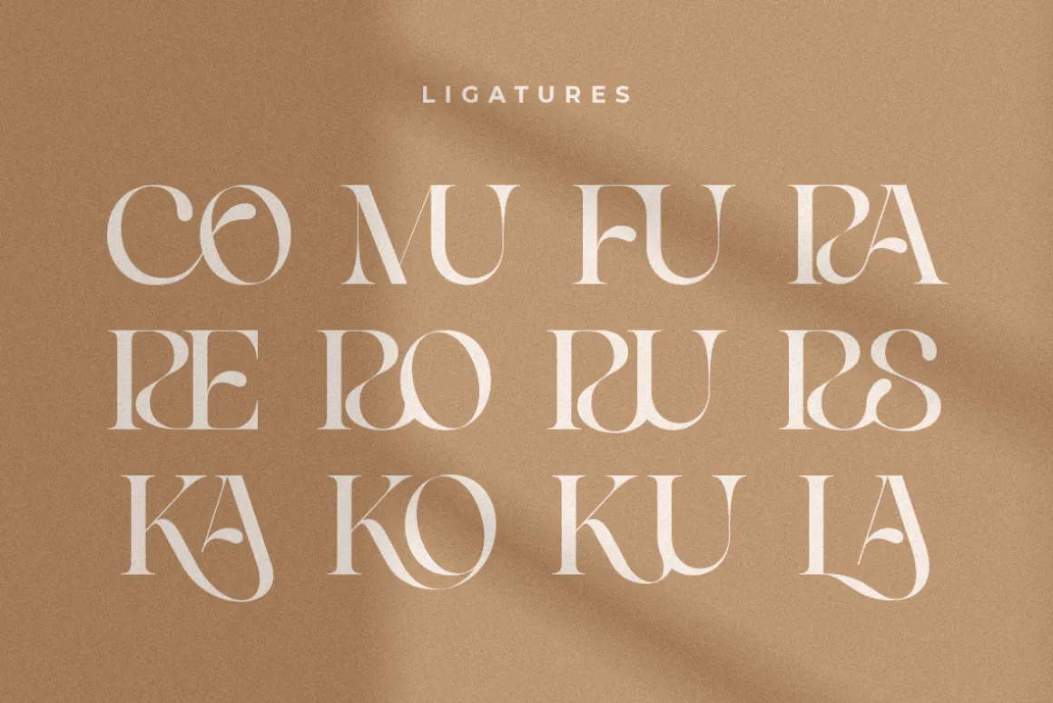 Life Sugar - Unique Serif Font