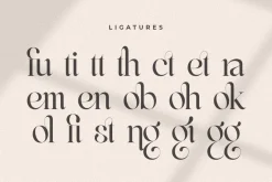 Life Sugar - Unique Serif Font