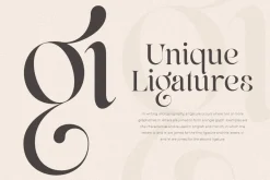Life Sugar - Unique Serif Font