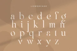 Life Sugar - Unique Serif Font