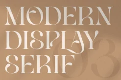 Life Sugar - Unique Serif Font