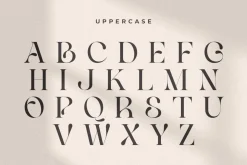 Life Sugar - Unique Serif Font