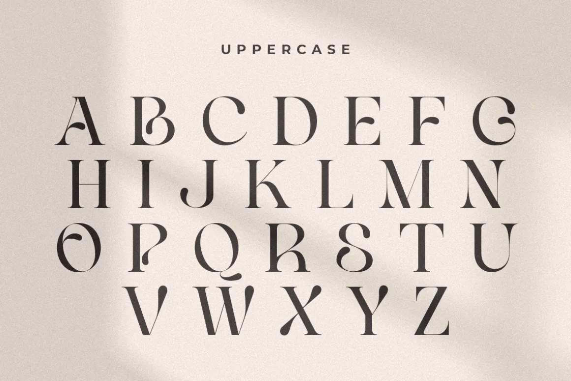 Life Sugar - Unique Serif Font
