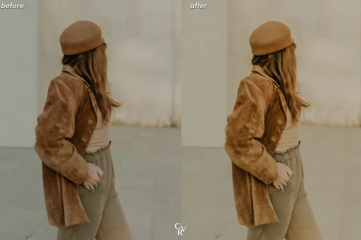 25 Light Academia Lightroom Presets