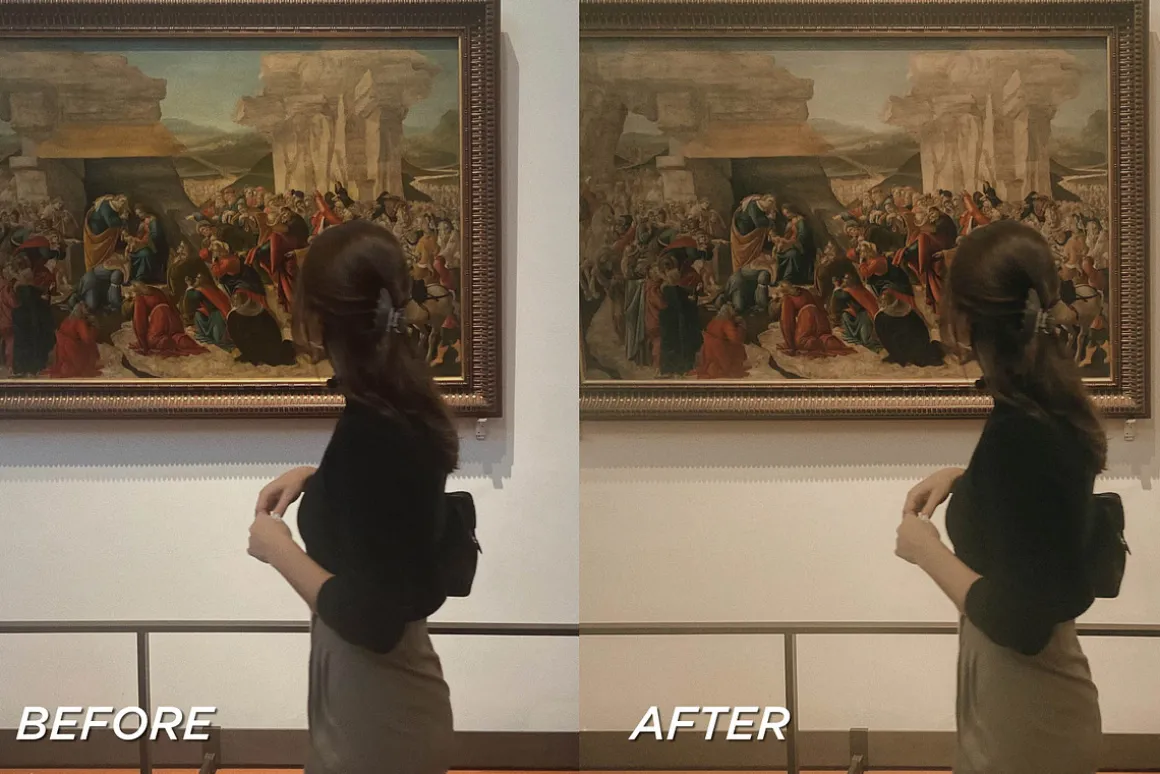 15 Light Academia LR Presets, LUTs