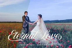 Lightroom Preset - Timeless Wedding