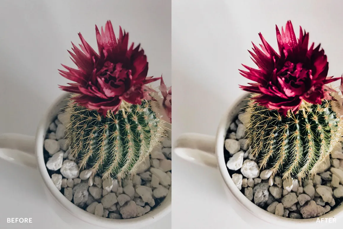 Lightroom Preset-Photo Product Theme