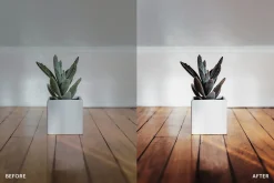 Lightroom Preset-Photo Product Theme