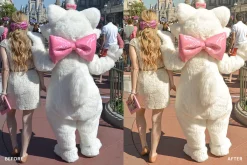 Lightroom Preset-Disneyland Princess