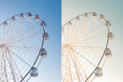 Lightroom Preset-Disneyland Princess