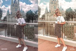 Lightroom Preset-Disneyland Princess