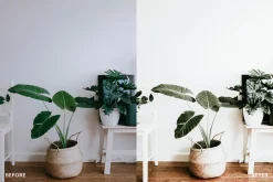 Lightroom Preset-Earth Tone Theme