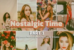 20 Lightroom Preset Nostalgic Time 1