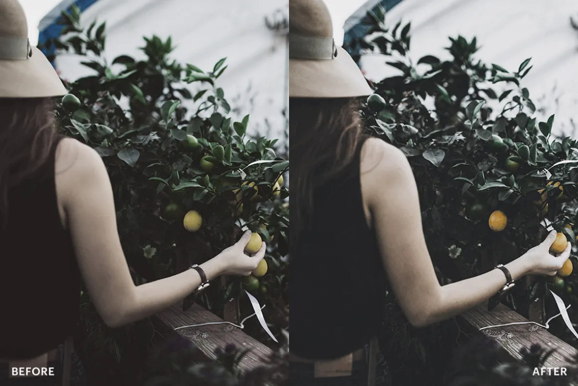 Lightroom Preset-Olive Sunflower