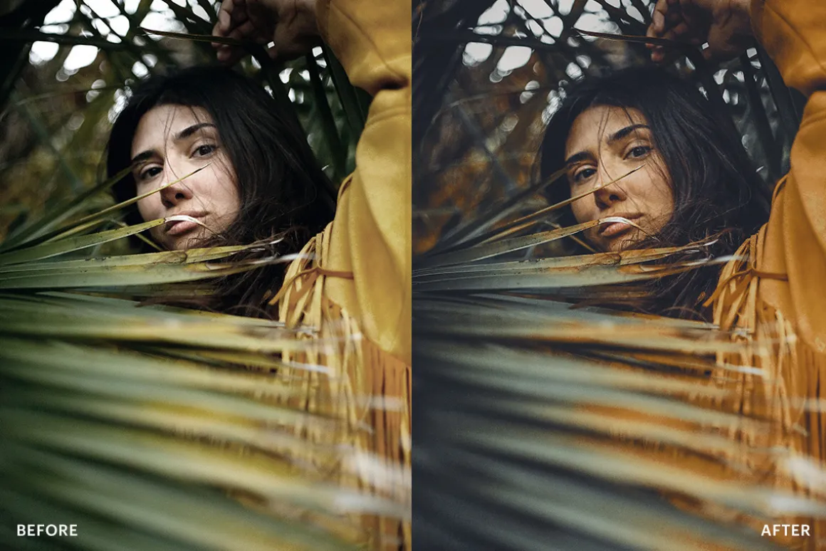 Lightroom Preset-Olive Sunflower