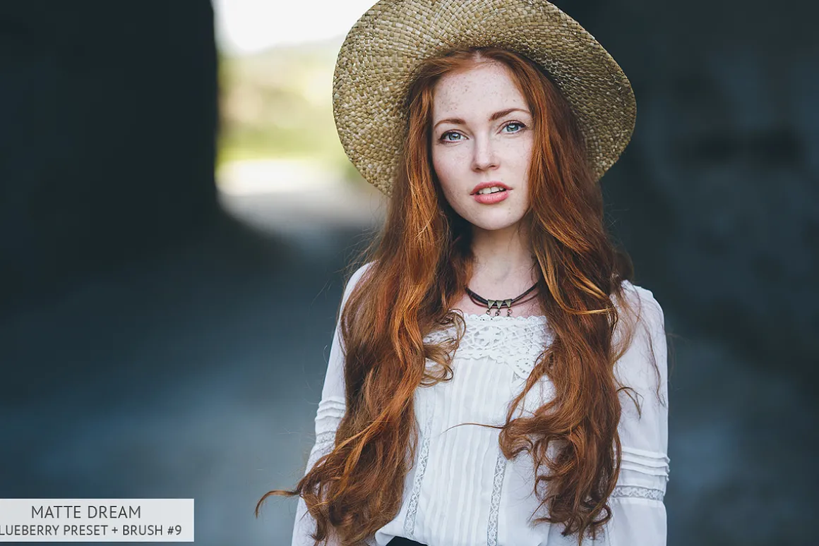 Lightroom Presets-Entire Collection