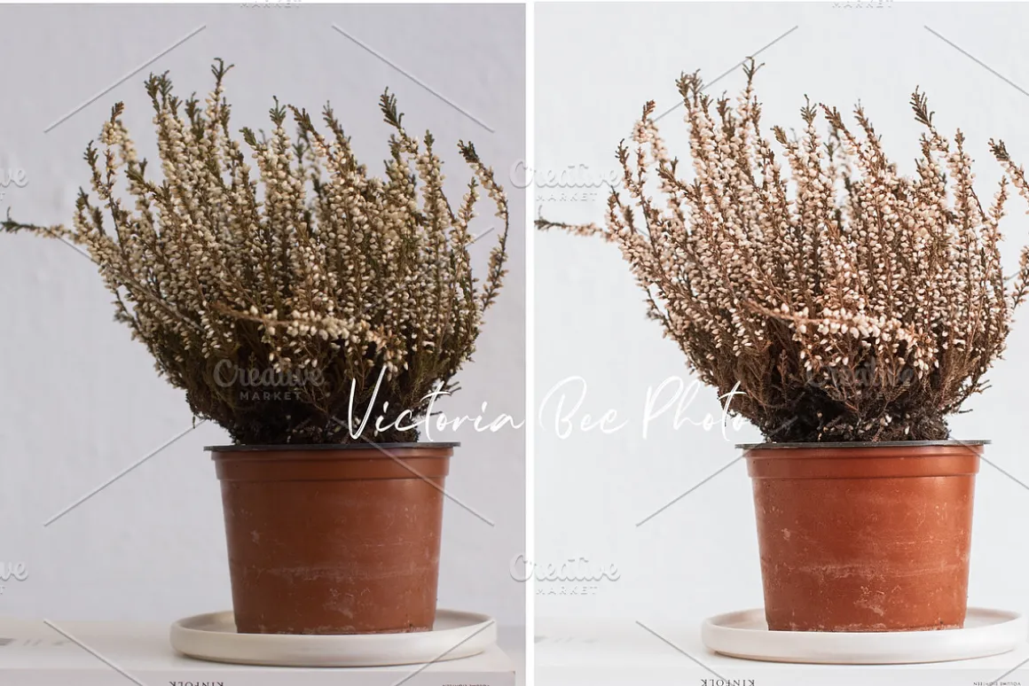 50 Lightroom Presets Macchiato