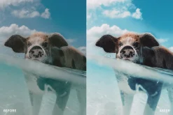 Lightroom Preset-Underwater Blue