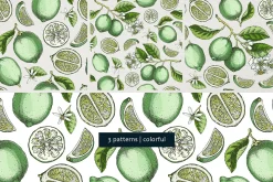 Lime Citrus Fruit Vectors & Patterns