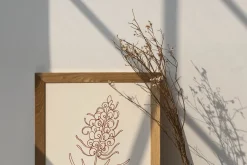 Line art Australian native flowers