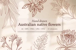 Line art Australian native flowers