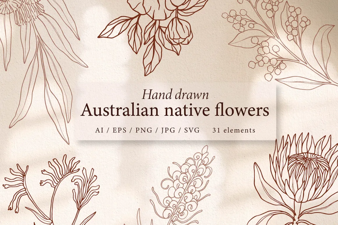Line art Australian native flowers