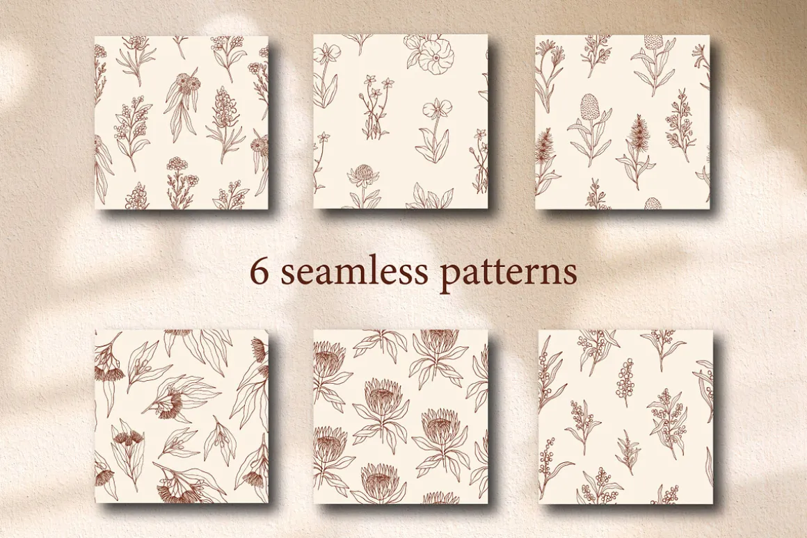 Line art Australian native flowers
