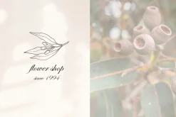 Line art Australian native flowers