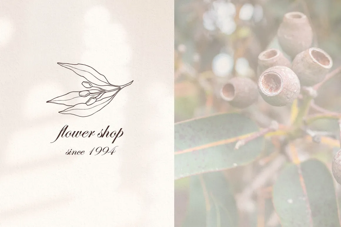 Line art Australian native flowers