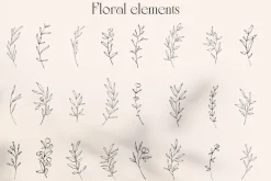 Line Art Floral Tender Frames