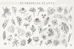Line Art Tropical Flowers & Leaves