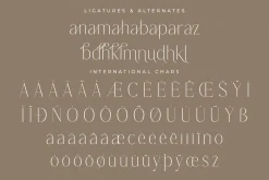 Lisandra A Modern Font Serif