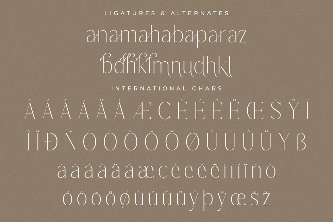 Lisandra A Modern Font Serif