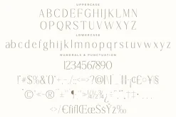 Lisandra A Modern Font Serif