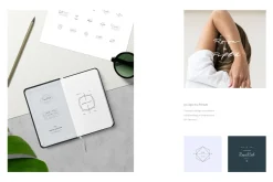 50 Logos — Brand Kit