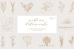 320 logos & illustrations bundle