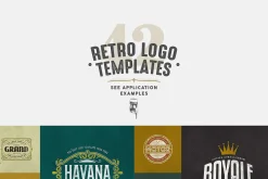 42 Logo Templates Bundle