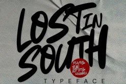 Lost In South - Natural Brush Font