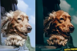 Love Dogs Presets for Lightroom