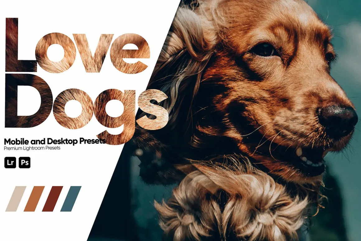 Love Dogs Presets for Lightroom